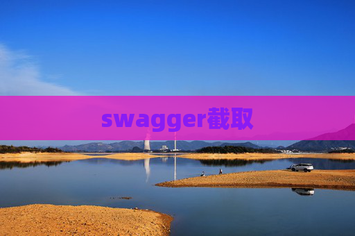 swagger截取